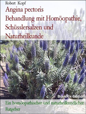 cover image of Angina pectoris        Behandlung mit Homöopathie, Schüsslersalzen und Naturheilkunde